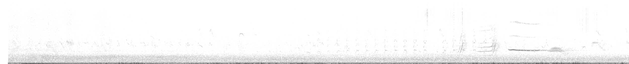 Rundschwanzhabicht - ML638723391