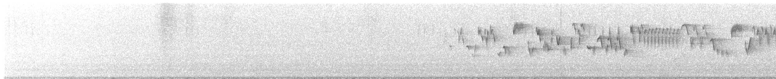 Pacific Wren - ML638724512