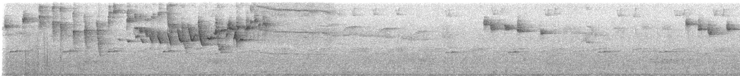 stripehodeparula - ML638724546