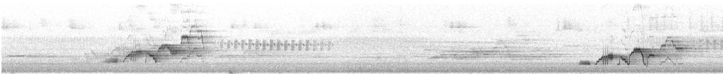 Zorzalito de Swainson - ML638726357