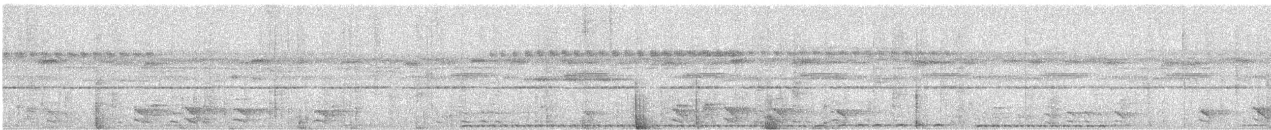 Rufous Motmot - ML638727559