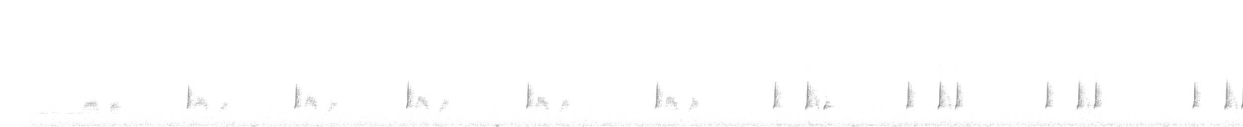 Common Quail - ML638728497