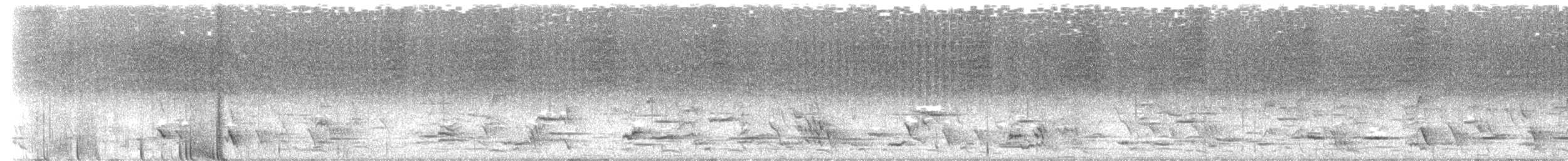 Коримако - ML638729423