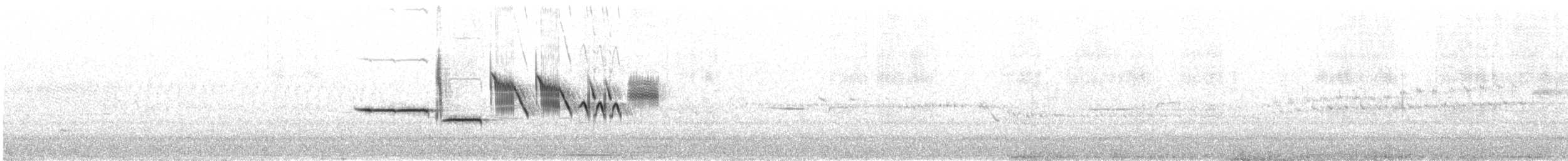 hvitkronespurv (oriantha) - ML638730628