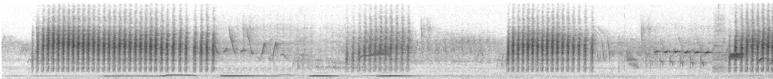 Northern House Wren - ML638731895