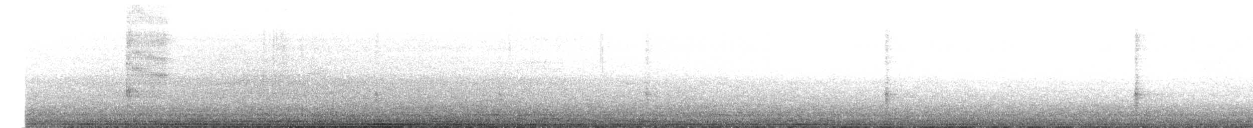 Quiscale bronzé - ML638732897