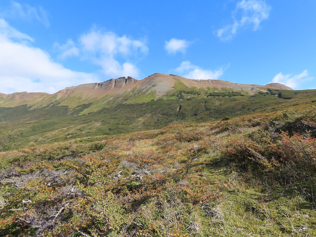 null - ML638732913