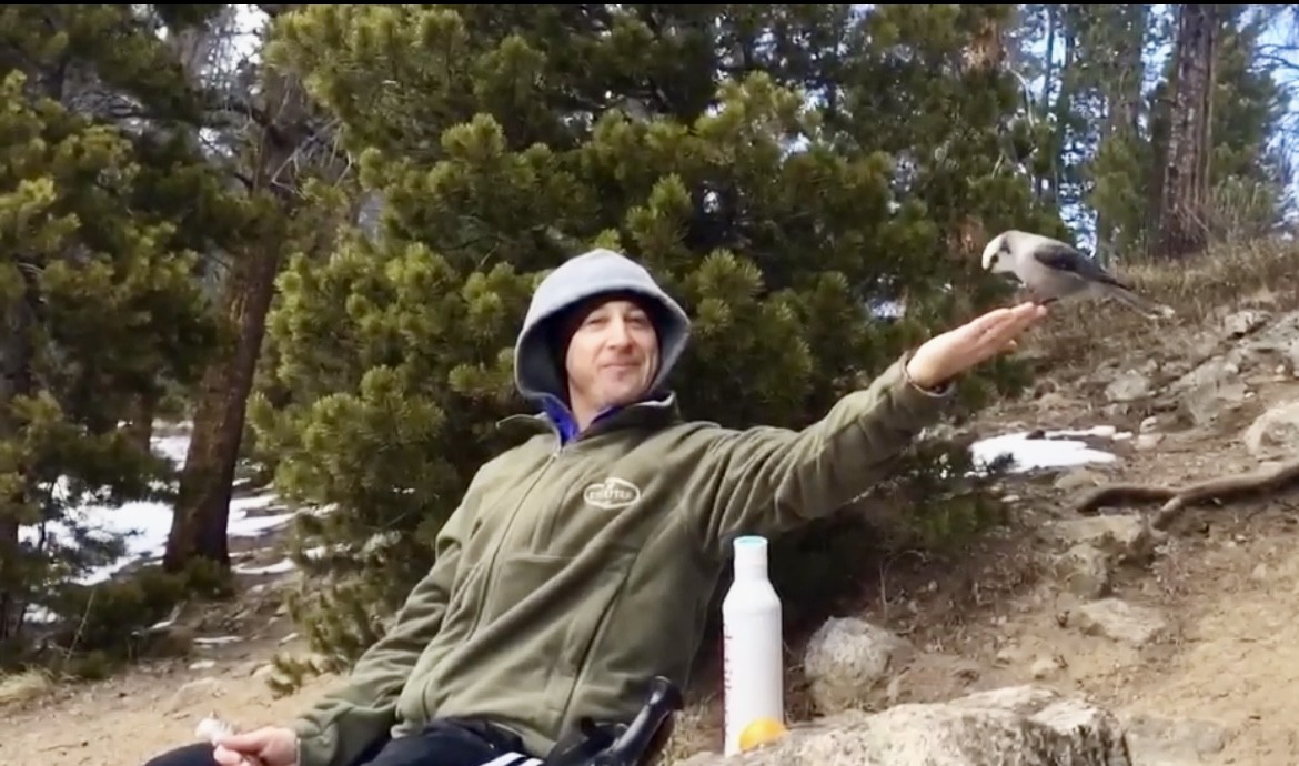 Canada Jay - ML638733183