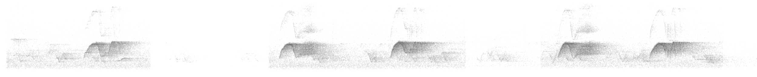 Eastern Phoebe - ML638733276