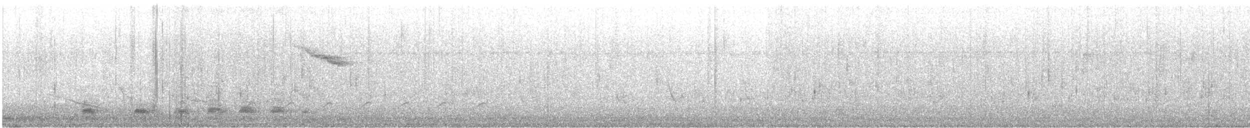 Mangrove Cuckoo - ML638733532