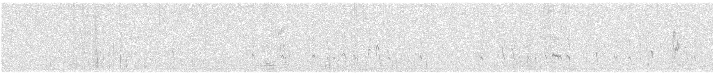 beringsnipe - ML638733757