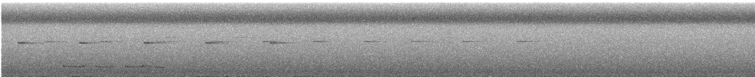 Langschwanzpipra - ML638733778