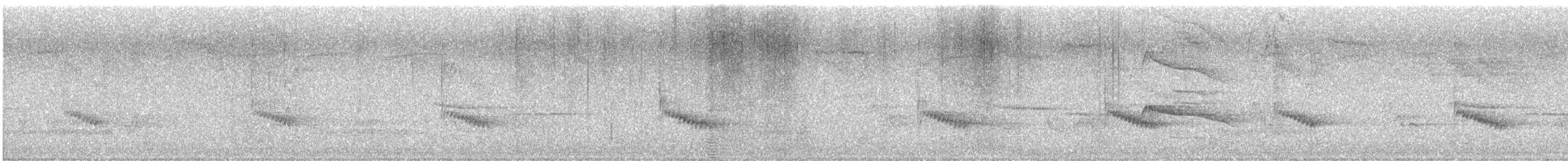 Carolina Wren - ML638734298