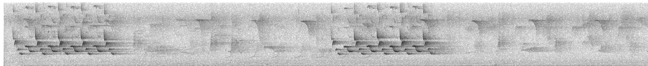 Carolina Wren - ML638734299