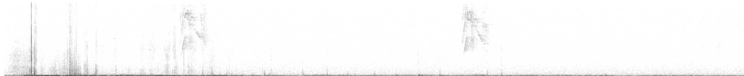 Sulphur-bellied Flycatcher - ML638736782