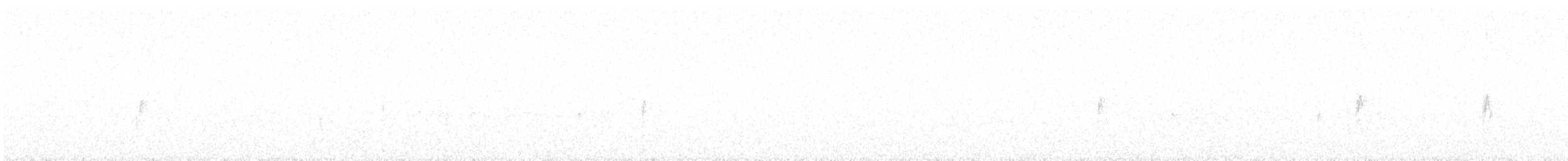 Java Sparrow - ML638737163