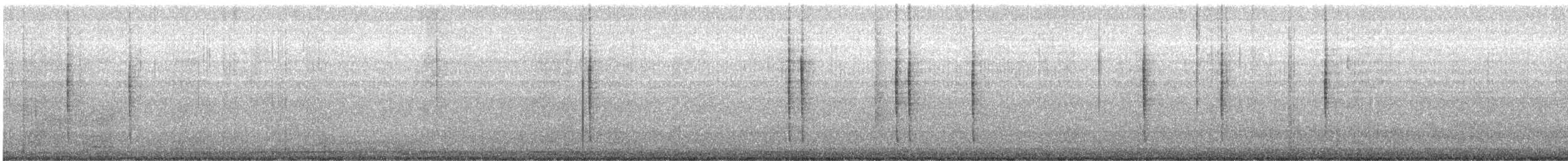 Colibri vesper - ML638737389
