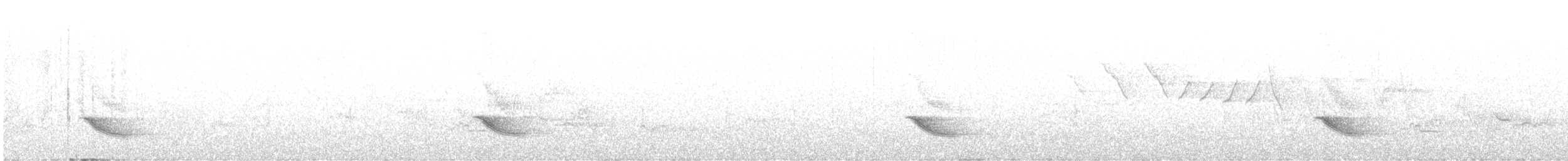 Veery - ML638737508