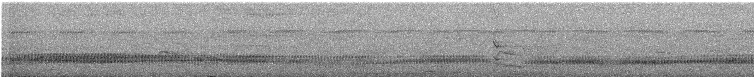 White-eared Jacamar - ML638737708