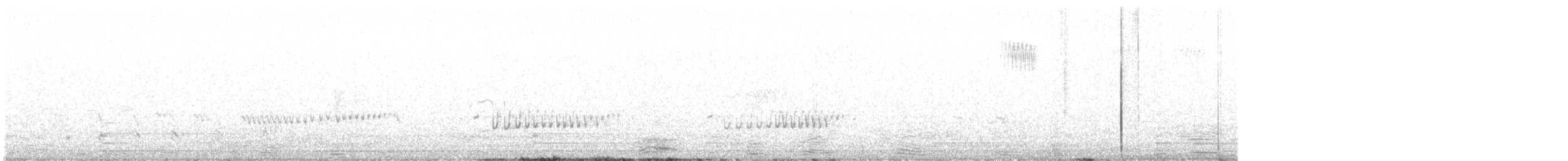 Parakeet Auklet - ML638737807