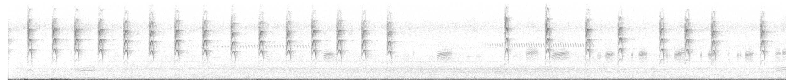 gråviftestjert - ML638737830
