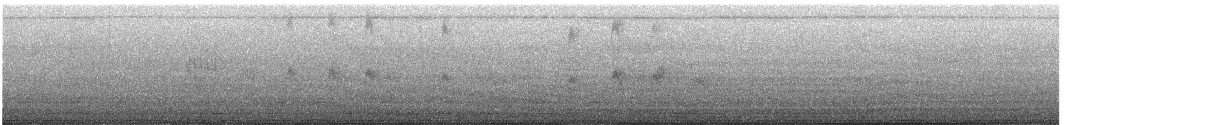 Salim Ali's Swift - ML638738653