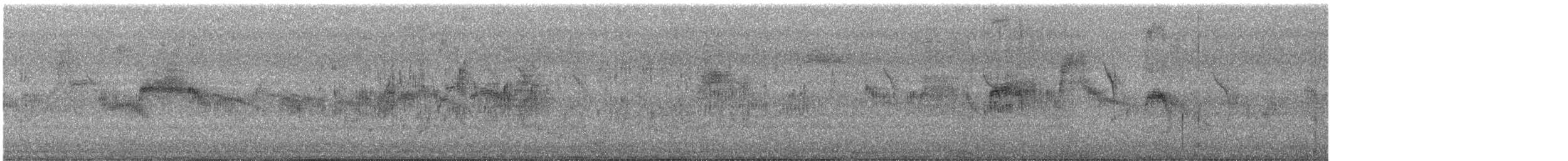 Salim Ali's Swift - ML638738772