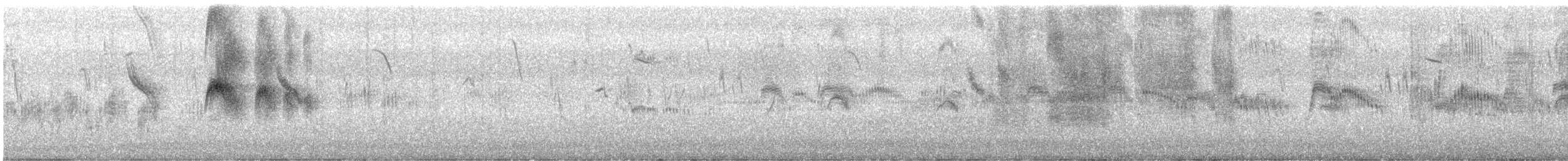 Salim Ali's Swift - ML638738773