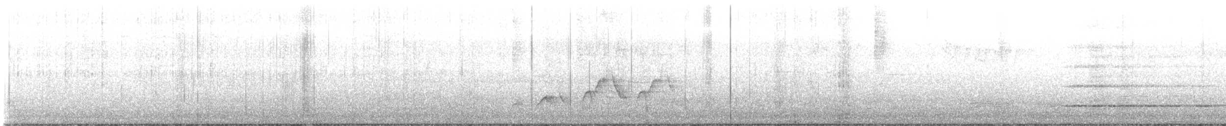 Swainson's Thrush - ML638739641