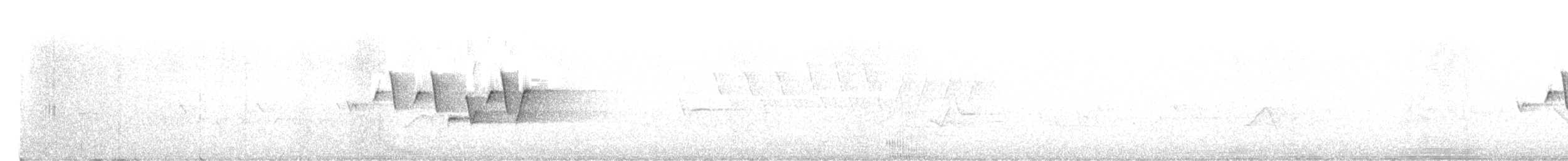 Connecticut Warbler - ML638740221