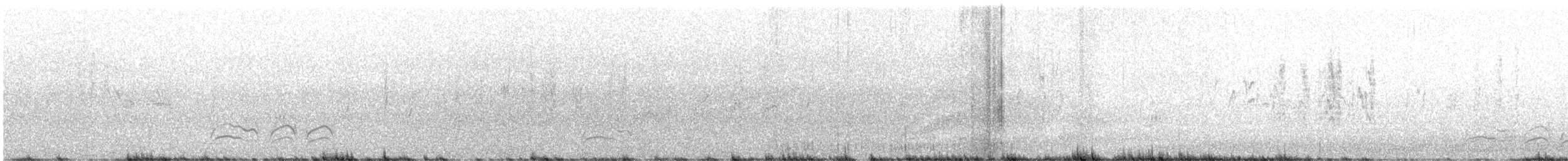Pinyon Jay - ML638740756