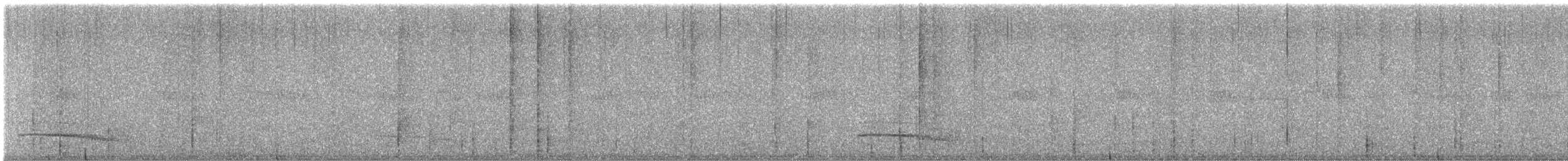 Plain-winged Antshrike - ML638741788