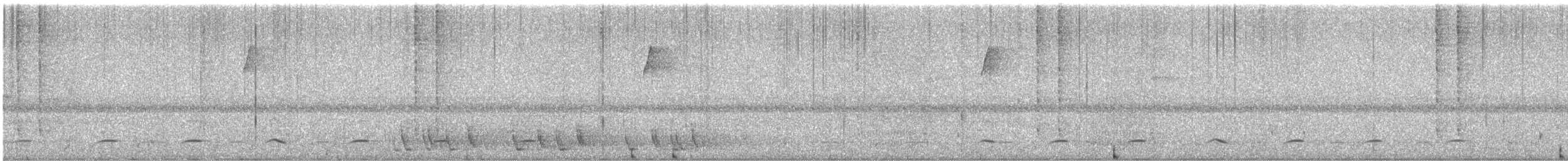 シロムネオオハシ - ML638741977