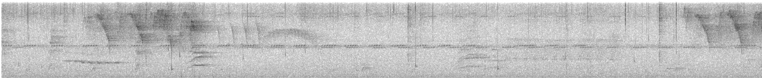 Bananaquit - ML638742581