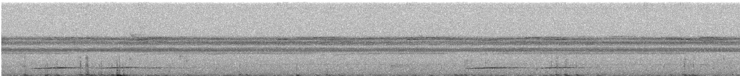 Undulated Tinamou - ML638743121