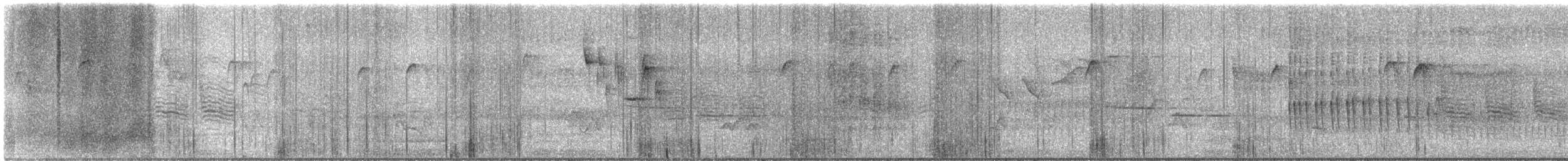 Belted Kingfisher - ML638745182