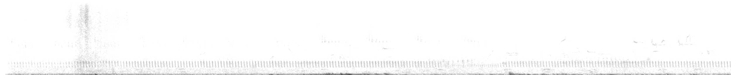Eurasian Nightjar - ML638745190