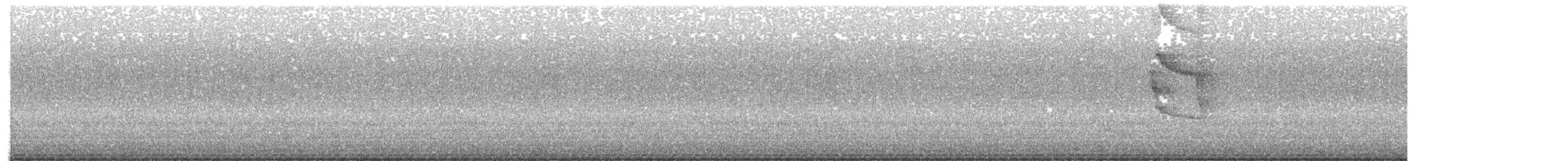 Social Flycatcher - ML638745474