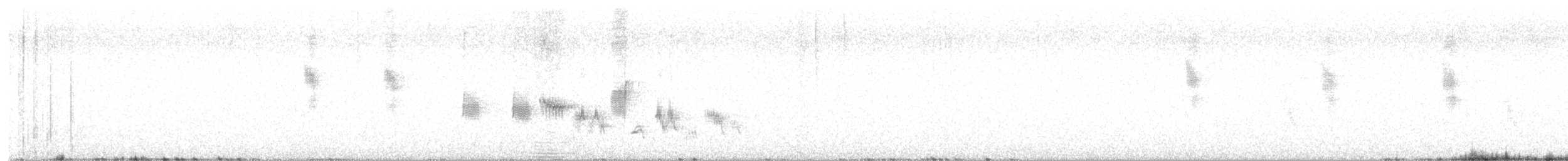 Traquet noir et blanc - ML638745972