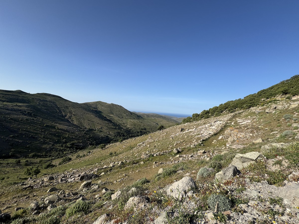 null - ML638747758