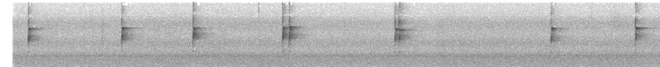 Sclérure à poitrine rousse - ML638747848