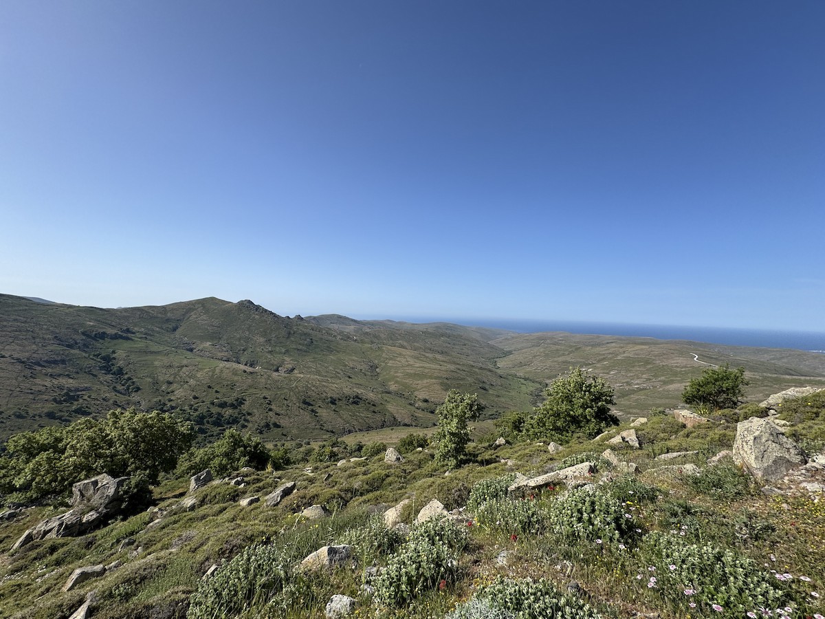 null - ML638747903