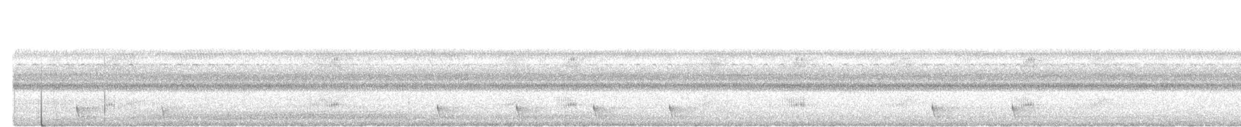 Large-tailed Nightjar - ML638749397