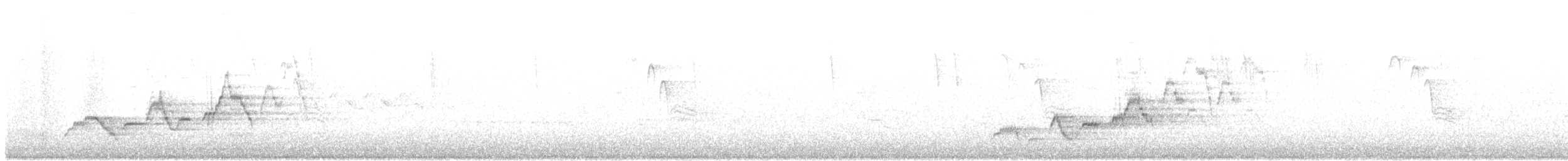 Zwergmusendrossel [swainsoni-Gruppe] - ML638751833