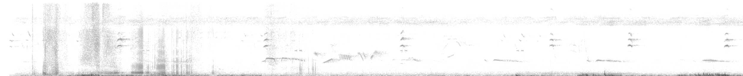 Broad-tailed Grassbird - ML638752439
