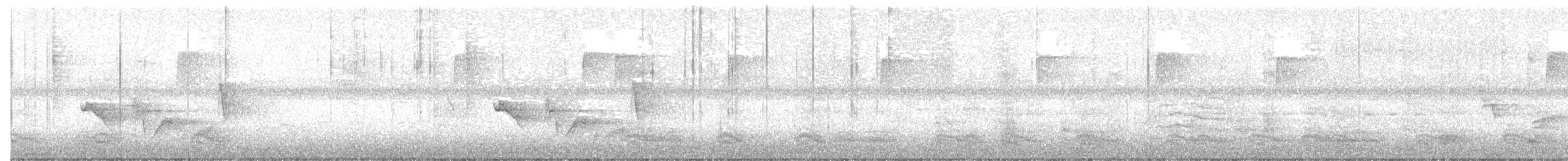 White-eyed Vireo - ML638753284