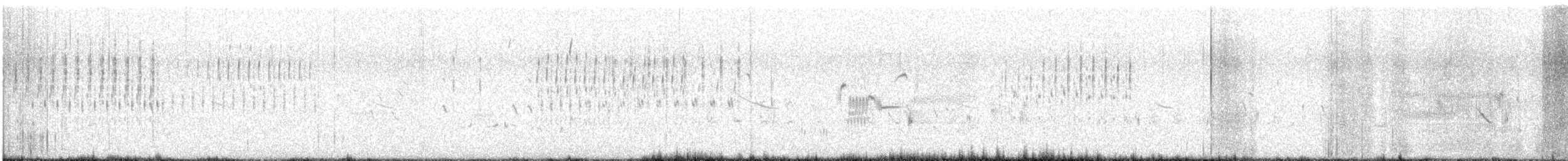 wren sp. - ML638754055