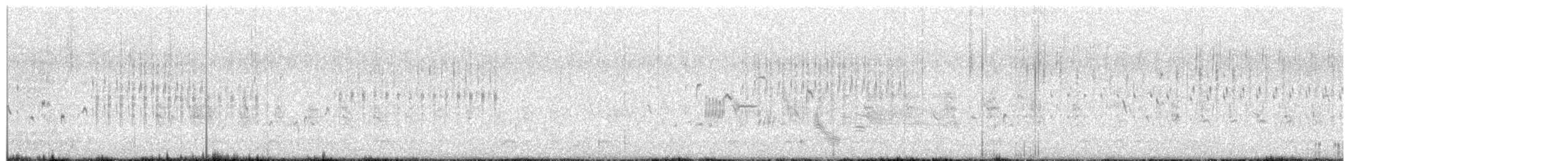 wren sp. - ML638754224