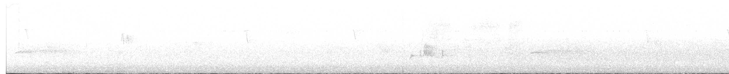 passerine sp. - ML638755040