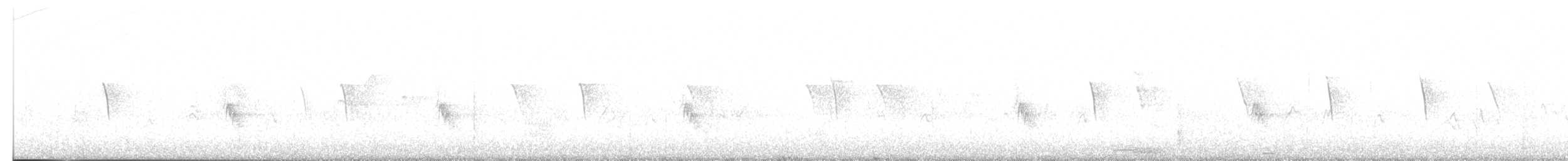 passerine sp. - ML638755813